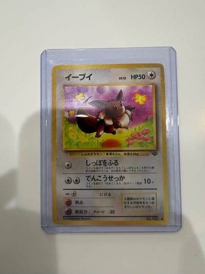 Eevee - Pokemon Jungle Jp Dm